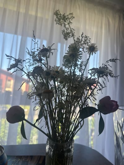 A bouquet of wildflowers, including daisies and grasses, is arranged in a glass vase on a table. Two pink peonies are also present, one in full bloom and the other still a bud. The bouquet is silhouetted against a window covered by sheer white curtains. Through the curtains, a building with red brick accents and green foliage can be seen. The scene appears to be indoors, in a domestic setting, possibly in Paltiškiai, Lithuania. The lighting suggests it is daytime, with natural light filtering through the window.
