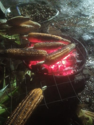 In the city of Tundun Wada West, Nigeria, a nighttime scene unfolds around a charcoal grill. Several ears of corn are positioned on a metal grate, some directly over glowing red embers. The corn appears to be in various stages of roasting, with some kernels showing charring. In the background, a metallic bowl holds what appears to be a pile of small, dark items, possibly beans or seeds, also exposed to heat from the grill. The surrounding ground is wet and reflective, suggesting recent rain or damp conditions. The lighting is dim, with the fire providing the primary illumination, casting an orange glow on the corn and surrounding elements.