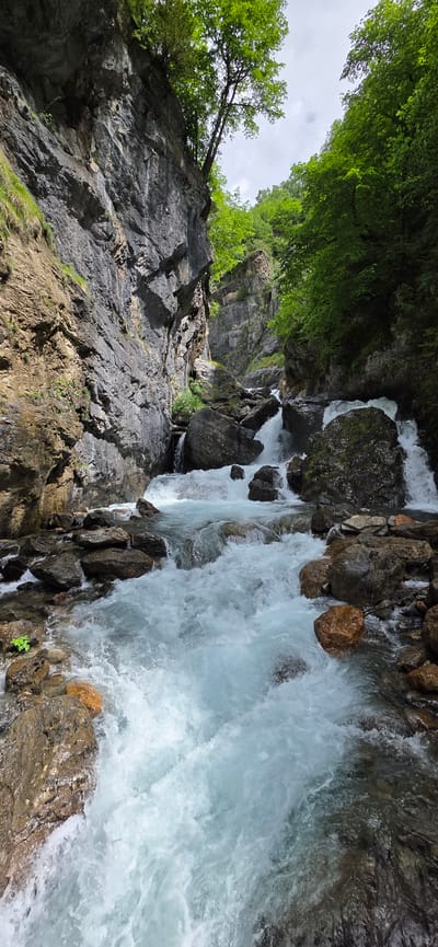 A dynamic natural landscape is captured in this image, featuring a powerful waterfall cascading down a rugged, rocky gorge. The scene is rich with geological features and lush vegetation under an overcast sky, characteristic of a mountainous region like Sahún, Spain.
The dominant feature is the forceful stream of water, which appears milky white and light blue due to its rapid flow and turbulence over numerous dark grey and brown boulders. The water creates a sense of movement and raw power as it plunges downwards.
On the left side, towering rock faces, primarily dark grey and streaked with lighter tones, rise steeply, indicating a deep valley or canyon. These rock formations display various textures and layers. Patches of bright green vegetation cling to crevices and ledges on the rock, adding vibrant color to the stony environment. Overhead, a dense canopy of vivid green trees and foliage frames the sky, with one prominent tree leaning out from the cliff face on the upper left.
The sky is a soft, muted grey, suggesting an overcast day, which contributes to the diffused lighting across the scene. The overall atmosphere is one of wild, untamed nature, emphasizing the grandeur and refreshing energy of the waterfall. No people or animals are visible, and there is no discernible text in the image.