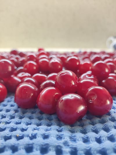 A close-up, low-angle shot showcases a pile of ripe, red cherries scattered across a textured blue fabric. The cherries are plump and glossy, with some appearing to have small water droplets on their surfaces. The fabric has a waffle-like weave. In the background, a blurred light-colored surface with some indistinct markings is visible, possibly a countertop or wall. A hint of a white and blue object, perhaps a mug or vase, is also present in the upper right corner. The scene is well-lit, highlighting the vibrant red of the cherries. The image does not provide any specific information about the city of Vetka, Belarus.