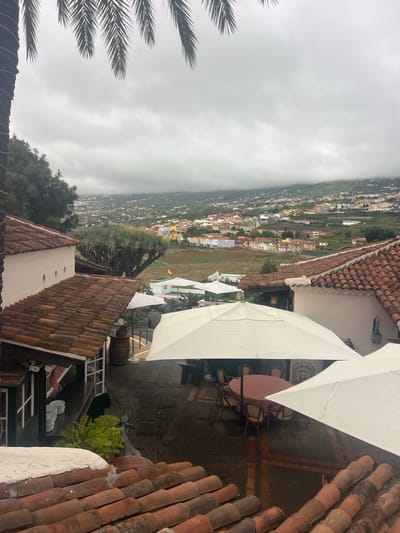 This image captures a scenic view of a town nestled on a hillside, likely in La Vera, Spain, under an overcast sky. The foreground features the terracotta-tiled roofs of buildings, suggesting a traditional architectural style. White umbrellas are set up, indicating an outdoor dining or seating area, possibly a restaurant or cafe. A round table with chairs is visible beneath one of the umbrellas, hinting at a mealtime or social gathering.

Further down the slope, a densely populated town with colorful buildings is spread out, creating a vibrant contrast against the muted tones of the sky and foreground. The town appears to extend towards a hazy horizon, where the landscape is softened by mist or low clouds. Palm fronds are visible on the left side of the frame, adding a tropical element to the scene.

A notable detail is a sign on the wall which reads "BAR DE PERROS". The overall atmosphere is serene, possibly on a mild or cool day given the cloudy weather. The setting suggests a peaceful location offering panoramic views of the town and surrounding landscape, a place where one might relax and enjoy a meal or drink. The orientation of the image is vertical.