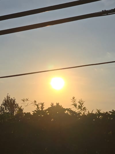 The image depicts a sunset over a residential area in Marietta, United States. Two power lines stretch horizontally across the frame. The sun, a bright, luminous orb, is positioned in the center of the sky, casting a warm, golden light. Silhouetted against the sunset is a line of dense foliage, likely a hedge or bushes, with some trees visible on the left. The sky is a gradient of soft blue and orange hues. The scene is tranquil, with no people or animals visible. The overall impression is one of a peaceful evening in a suburban setting.