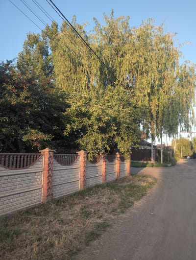 The scene depicts a street in Жаңа Қуат, Kazakhstan. The street is unpaved and bordered by a concrete fence with decorative red-tiled caps. A large, leafy tree, possibly a willow, overhangs the fence and the road. Power lines are visible against the clear blue sky. Vegetation, including grass and shrubs, grows alongside the fence. The lighting suggests it's either early morning or late afternoon.
