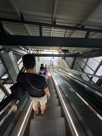 An upward-facing, medium shot captures the rear view of a man descending an escalator at the Sunway Pyramid shopping mall in Subang Jaya City Council, Malaysia. The man, with short black hair, wears a black t-shirt and light-colored shorts, and a dark bag is slung across his left shoulder. He is positioned on the left escalator, while another escalator is visible to his right. Several other individuals are ahead of him on the escalators, also descending. The environment is an indoor escalator area, featuring a corrugated metal roof supported by dark metal beams, and translucent panels on the right side of the frame. The escalators are equipped with metal handrails and illuminated edges.