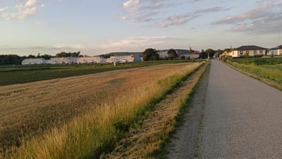 This image depicts a rural landscape near Sankt Pölten, Austria, at dusk. The scene is dominated by a field of golden wheat in the foreground, with tall grasses lining the edge of a paved road that recedes into the distance. On the left side of the road, beyond the wheat field, is a dark green field, possibly another crop. In the background, a row of white, multi-story apartment buildings stretches across the horizon, interspersed with trees. Further to the right, several single-family homes with dark roofs are visible, suggesting a suburban or semi-rural residential area. The sky is a soft blue with scattered white clouds, illuminated by the warm glow of the setting sun, indicating it is late afternoon or early evening. The overall mood is peaceful and serene, characteristic of a quiet European countryside. There are no visible people or text in the image.