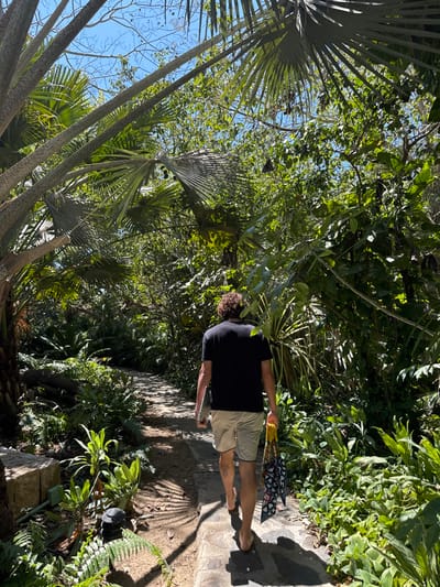 The scene depicts an adult male walking barefoot on a narrow, winding paved pathway through dense tropical vegetation in La Cruz de Huanacaxtle, Mexico. The individual, viewed from behind, has curly dark hair and is dressed in a black short-sleeved t-shirt and light-colored shorts with a dark trim. In his left hand, he carries a light-colored object, possibly a laptop or tablet. His right hand holds a colorful, patterned cloth object partially encased in a yellow-orange net. The pathway, composed of stone or concrete slabs, is bordered by exposed soil and various plants, including ferns and broad-leafed species. Overhead, a thick canopy of trees, featuring large fan palms, allows intermittent views of a clear blue sky. Bright sunlight illuminates the scene, casting pronounced shadows on the path and foliage.