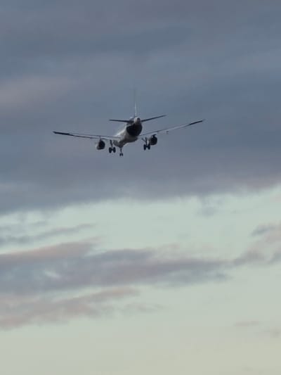 An airplane is shown in flight against a cloudy sky. The airplane is a commercial jet with its landing gear down, suggesting it is either taking off or landing. The sky is a mixture of gray and lighter blue clouds, with hints of pink suggesting sunrise or sunset. The location in Flörsheim, Germany is not discernible from the image alone.