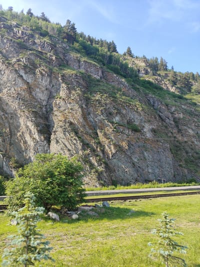 The image depicts a dramatic natural landscape. A steep, rocky cliff face dominates the background, its rough texture and varying shades of gray and brown indicating geological age and erosion. Patches of green vegetation, including trees and shrubs, cling to the cliff's slopes and top, suggesting a resilient ecosystem. Power lines stretch horizontally across the midsection of the cliff, hinting at human presence and infrastructure.
In the foreground, a lush green grassy area stretches out, dotted with rocks and a large, leafy green bush. Two young evergreen trees, their needles a soft blue-green, stand in the foreground, adding depth and a sense of scale to the scene. A set of railroad tracks runs horizontally across the middle ground, parallel to the base of the cliff, separating the grassy area from the rocky incline. The tracks appear weathered, suggesting they are part of an established route.
The lighting suggests it is daytime, with the sun casting shadows and highlighting the textures of the rock and grass. The sky is a clear, bright blue with a few wispy white clouds, indicating fair weather. The overall impression is one of a rugged, natural environment juxtaposed with signs of human passage, creating a scene that is both serene and imposing. The location context of Cheremushki, Russia, conjures images of Siberia or other northern regions known for their vast, wild landscapes. No text is visible in the image.
