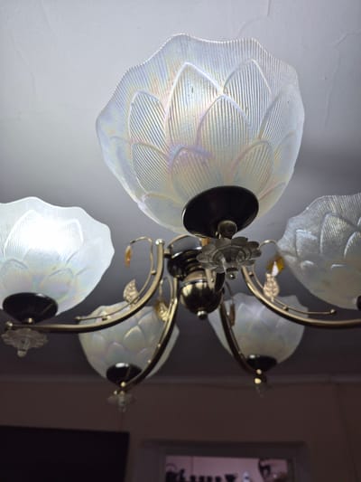 This media file captures a close-up, low-angle shot of a decorative chandelier. The chandelier features multiple glass shades, each with an iridescent, pearlescent finish and a textured pattern resembling flower petals or leaves. The metal framework of the chandelier is a warm, brassy gold. One of the shades is prominently in focus, showcasing the intricate detailing of the glass. There are also decorative floral embellishments made of clear glass attached to the metal arms. The background is a softly lit, plain wall, with a darker area to the right suggesting a room interior. The lighting appears to be artificial, coming from the chandelier itself and possibly other ambient sources, creating highlights on the glass and metal. No people are visible, and no text is present. The overall impression is one of decorative interior lighting, possibly in a home or a formal space. The image does not provide specific cues about the time of day, weather, or any particular event. The location context of Tekeli, Kazakhstan, is provided externally and is not visually represented in the image.