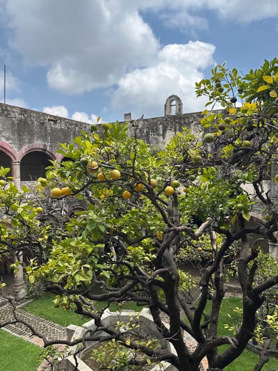 The image captures an interior courtyard in Huejotzingo, Mexico, likely within the historic Ex-convento de San Miguel Arcángel. A mature citrus tree, heavily laden with both green and yellow fruits, dominates the foreground. Its gnarled, dark branches spread extensively, creating a dense canopy of green leaves.

The background reveals the characteristic architecture of the ex-convent. A textured, weathered stone wall with arched openings frames the courtyard. Above the wall, a section of the sky is visible, with scattered white clouds against a pale blue backdrop. One of the crops reveals a distinctive arched window or niche atop the stone structure. The ground within the courtyard is covered in neatly mown green grass, with a brick pathway visible in the lower left corner, bordered by low concrete walls. The overall impression is one of a serene, historic space with lush natural elements.