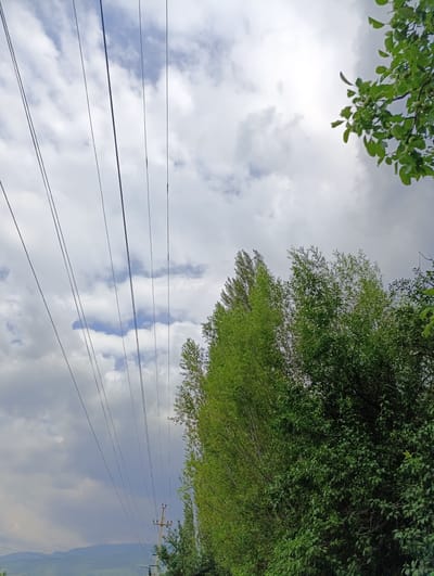 This media file captures a slightly overcast day in Ак-Дөбө, Kyrgyzstan. The scene is dominated by a dense canopy of green trees on the right side, with a tall, slender tree line on the left, reaching towards a cloudy sky. Several parallel power lines cut diagonally across the frame from the upper left to the lower right, a utility pole visible near the bottom center. In the far distance, rolling hills or mountains are visible under a hazy sky. The leaves of the trees are a vibrant green, suggesting it's either spring or summer. The overall mood is serene and natural, with a touch of human infrastructure in the form of the power lines and pole. There is no visible text in the image.