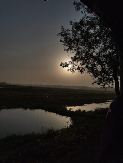 The image depicts a landscape in Southkhali, Bangladesh, at what appears to be either sunrise or sunset. A prominent tree silhouette dominates the right side of the frame, partially obscuring the sun. The sun's rays break through the tree's foliage. Below, a flat, marshy area stretches into the distance. Small bodies of water are scattered across the foreground, reflecting the sunlight. In the distance, a hazy line of trees or vegetation is visible, suggesting the edge of the marsh. The sky is overcast with a gradient of light towards the horizon where the sun is situated. The foreground is dark, with limited visibility of the details. A portion of a person is visible on the bottom right.
