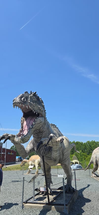 A full-shot, vertical, outdoor photograph captures a life-sized dinosaur sculpture, likely a Tyrannosaurus Rex, in the foreground. The sculpture is grey and white, with its mouth open, revealing pink gums and sharp teeth. Its arms are raised, and its claws are visible. Behind the main sculpture, several other dinosaur sculptures are present, including a smaller beige dinosaur with a crest on its head and a Dimetrodon sculpture on a rock. The ground is covered in gravel, and metal posts and chains surround the sculptures. In the background, a red building with a sign reading "St-Hubert Express" is visible, along with trees and a clear blue sky with a contrail from an airplane. A person is partially visible on the left side of the frame, facing the dinosaur. The location is identified as Saint-Léonard-d'Aston, Canada.
