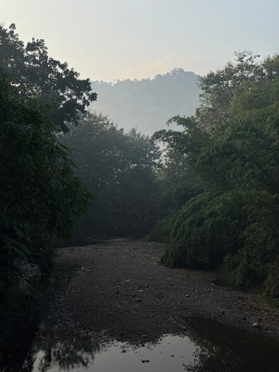 The image depicts a serene natural scene in Kalirancang, Indonesia, likely during the early morning or late evening due to the soft, diffused light and atmospheric haze. A dry riverbed, composed of dark pebbles and some sparse vegetation, dominates the foreground, with a shallow stream of water reflecting the surrounding trees on the left side of the frame. Lush green foliage, including bamboo and other leafy trees, lines both banks of the riverbed, creating a sense of enclosure. In the background, mist-shrouded hills or mountains rise, their forms softened by the atmospheric conditions. The overall impression is one of tranquility and natural beauty, with the landscape appearing largely untouched by human activity, apart from some faint litter visible on the right bank of the riverbed.