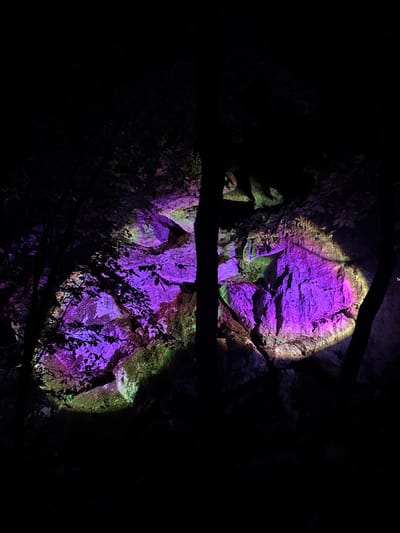 This nighttime photograph depicts a rugged natural rock formation and surrounding dense foliage illuminated by artificial purple and green light, situated in the city of Bukovik, Montenegro. The central focus is a large, textured rock face receiving primary illumination. Vivid purple light bathes a significant portion of the rock, while distinct patches of green light highlight moss-covered sections and other rocky areas. Silhouetted tree trunks and branches are prominently visible in the foreground and midground, casting dark, intricate patterns against the illuminated backdrop and further obscuring parts of the rocks. The unlit areas of the scene remain in deep shadow, emphasizing the dramatic contrast with the brightly colored light beams. No individuals or discernible man-made objects, beyond the implied light sources, are visible within the frame.
