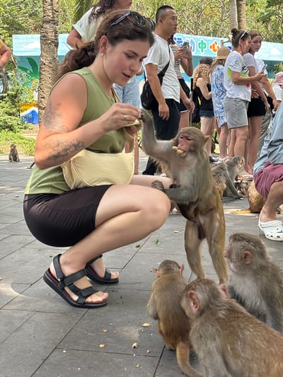 In Nanwan Village, China, a woman wearing a green sleeveless top and black skirt is crouching down on a paved surface, interacting with a group of monkeys. She holds a small object, possibly food, in her right hand, which a monkey is reaching for with its mouth. The monkey stands on its hind legs, with its left arm raised. Several other monkeys are gathered around the woman, some on the ground and others in the background. A smaller monkey sits on a grassy area in the left background, near a brightly colored mural with palm trees. Behind the woman and monkeys, a group of people stand, some holding cell phones. The environment appears to be an outdoor public space with trees and a building in the background.