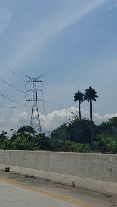 The image shows a wide shot of a landscape with a concrete barrier in the foreground. Beyond the barrier, there is a dense green foliage of trees. In the middle ground, a tall, metallic power pylon stands prominently, with power lines stretching across the frame against a cloudy blue sky. To the right of the power pylon, two uniquely shaped trees, resembling palm trees with their fronds clustered at the top, are visible. In the far background, the sky is partly cloudy. The scene appears to be located in a rural or semi-rural area, possibly along a highway in Lonbaroh, Indonesia. There are no people visible in the image.