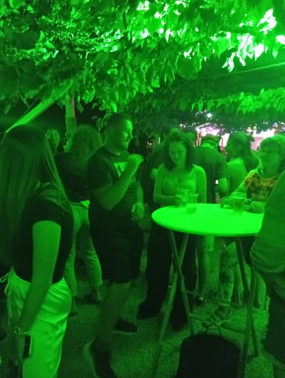 The image depicts a group of people gathered under lush green foliage, illuminated by green lighting. In the foreground, a woman with long dark hair is seen from the back, wearing a black top and light-colored pants. To her right, a man in a black t-shirt is visible, appearing to be speaking or gesturing.

Further back, a woman in a light-colored top stands near a green circular table, holding a plastic cup. On the table, there are several plastic cups, some containing liquid, possibly beverages. Another woman, wearing a patterned top, is seated at the table, also with a cup. The scene appears to be outdoors, possibly at an event or gathering, given the informal setting and the presence of drinks. The foliage suggests a natural environment, perhaps a park or garden.

While the image does not explicitly show the city of Hergiswil (NW), Switzerland, it captures a social gathering possibly taking place in such a location, characterized by ambient lighting and natural surroundings.
