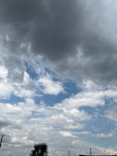 The image depicts a cloudy sky with patches of blue visible. The clouds vary in darkness, with some appearing heavy and gray, suggesting the possibility of rain, while others are lighter and more dispersed. In the lower portion of the image, the silhouettes of trees and utility poles with power lines are visible, indicating an outdoor urban or suburban setting. The scene does not contain any people or obvious signs of recent human activity. There is no indication of the specific location within Taganrog City District, Russia, beyond it being an outdoor environment.