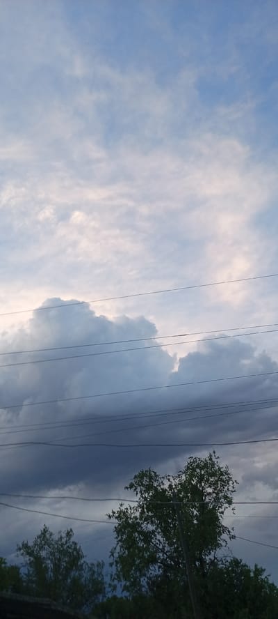 A vertical, slightly off-center shot captures a dramatic sky over a rural landscape, likely in Bettiknar, Kazakhstan. The upper half of the frame is dominated by a pale blue sky filled with wispy, light-colored clouds. These clouds gradually transition to larger, more imposing gray and dark gray formations towards the bottom of the sky. The overall impression of the sky is one of impending weather, possibly a storm.
Stretched horizontally across the frame are multiple power lines, silhouetted against the sky and clouds. These lines are at varying heights and add a man-made element to the natural scene.
The bottom portion of the image reveals the tops of trees, with lush green foliage. One tree, in particular, is prominently featured on the right side, its branches reaching upwards. A wooden utility pole is also visible, partially obscured by the tree. The dark clouds overhead suggest that it may be late afternoon or early evening, or that a storm is approaching, casting a subdued light on the scene. No people or specific objects are discernible beyond the power lines and utility pole. The scene evokes a sense of nature's power and the presence of infrastructure in a rural setting.