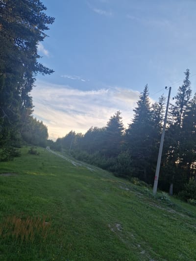 The image depicts a wide, grassy slope in Pobit Kamak, Bulgaria, adjacent to a dense forest. The slope has a dirt path winding up it, disappearing into the trees. Tall evergreen trees line the forest edge, casting shadows on the lower parts of the slope. A solitary, weathered utility pole with red markings stands on the right side of the path, with wires stretching between it and other unseen poles. The sky above is a pale blue with wispy white clouds, suggesting either early morning or late afternoon light. There are no people or animals visible in the scene. The environment is natural and rural, characterized by lush grass, thick forestation, and a clear sky.
