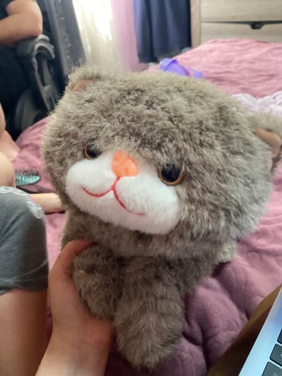 The image depicts an indoor, domestic scene. A person, identified by light-skinned hands and partially visible limbs wearing grey fabric, holds a greyish-brown plush stuffed animal. The stuffed animal possesses a white muzzle with a small, textured orange plastic nose and an embroidered red, upward-curved mouth. Its eyes are dark, round, and appear to have amber irises. The fur of the animal is short and dense. The person's left hand grasps the lower front of the stuffed animal. The background features a rumpled pink or purple blanket, likely on a bed or couch. To the far left, a dark garment is visible on an unidentifiable object or furniture. In the upper right background, blurred elements suggest a wooden piece of furniture, possibly a dresser, and a dark blue fabric (curtain) are visible. A bright light source, likely a window, is present in the upper left background, illuminating the scene. The lower right foreground shows the silver corner of a laptop, revealing the edge of a keyboard with visible 'S' and 'C' keys. No visual information within the image identifies the location as Verkhnevesyoloye, Russia.