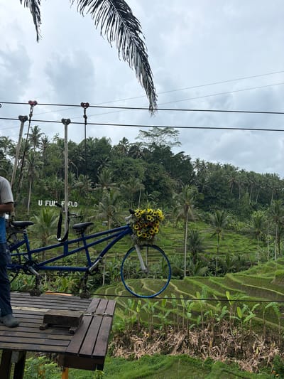 The image depicts a scene in Tegal Suci, Indonesia, overlooking a terraced rice field landscape. A blue bicycle structure with a flower arrangement on the front wheel is positioned on a wooden platform. The rice terraces are visible in the background, along with lush tropical vegetation and palm trees. Overhead, there are several zipline cables and mechanisms. The sky is overcast. A portion of a person's clothing and shoes are visible in the lower foreground. A sign reading "U FU F FIELD" is integrated into the bicycle structure.