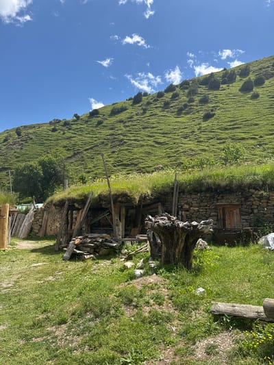 The image depicts a rustic dwelling nestled into a grassy hillside in El'tiubiu, Russia. The structure, appearing to be partially underground, features stone walls and a sod roof overgrown with grass and wildflowers. Wooden posts support the overhang of the roof, and a pile of lumber is stacked to the left of the entrance. A weathered wooden door with a horseshoe-shaped adornment is visible on the right side of the building. In front of the dwelling, a large, gnarled tree stump stands prominently, surrounded by lush green grass dotted with small yellow flowers. The background is dominated by a steep, verdant hillside, also covered in grass and sparsely populated with evergreen trees. The sky above is a clear blue, with a few scattered white clouds. The scene conveys a sense of rural simplicity and integration with the natural landscape.