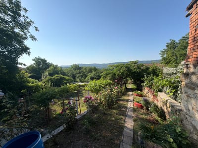 The image depicts a sunlit backyard scene in Gorno Pavlikene, Bulgaria. A stone wall runs along the right side of the frame, partially covered by vegetation. Adjacent to the wall is a pathway made of square tiles, leading into a garden filled with various plants and flowers, including roses of different colors and some lavender. Red planters are visible along the path.
In the foreground, a large blue plastic barrel is partially visible on the left. The garden is bordered by a metal fence and surrounded by lush green trees and foliage. In the background, rolling hills covered in trees are visible under a clear blue sky. The scene appears to be a private garden, possibly belonging to a residential property. The overall impression is one of a serene, natural setting bathed in sunlight.