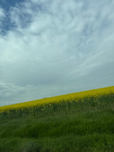 The image shows a landscape in the Kichevo area of Bulgaria. On the right, a field of green grass mixed with yellow flowers is visible. The sky is partially cloudy, with a mix of blue and white.