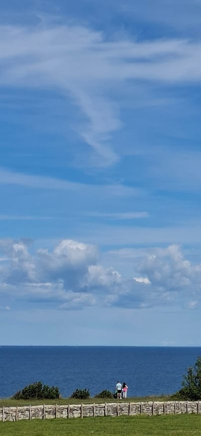 The image depicts a wide shot of a coastline under a blue sky with scattered clouds. In the foreground, a low stone wall with wooden posts separates a green grassy area from a clifftop with sparse, green vegetation. On the clifftop, two individuals are standing, facing the ocean, with their backs to the camera. One appears to be wearing a light blue shirt and dark pants, and the other a pink shirt and white pants. They are positioned near some dark bags. The ocean is a deep blue, stretching to the horizon where it meets the sky. The location is not specified as Panga, Estonia.