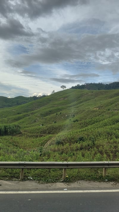 The image depicts a hilly, vegetated landscape with a cloudy sky. The foreground features a road with a white line, a guardrail, and a concrete shoulder. Beyond the guardrail, the terrain rises into a series of green hills covered in dense, low-lying vegetation, appearing to be crops or young trees. Several dirt paths are visible winding through the vegetation on the slopes. A single, mature tree stands prominently on the crest of one of the hills. In the background, more densely forested hills are visible, with power lines stretching across the sky. The overall impression is a rural, possibly agricultural, setting in Vietnam.