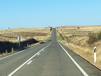 This media file captures a view from a vehicle traveling on a paved road in Villa del Rey, Spain. The road, marked with white lines, stretches into the distance and ascends a hill, disappearing over the horizon. The landscape flanking the road is dry and golden, indicative of a warm climate and possibly a Mediterranean or semi-arid region. Scattered trees with dark, bare branches are visible on the rolling hills, some appearing isolated and silhouetted against the clear blue sky. The time of day appears to be late morning or early afternoon, with the bright sunlight casting distinct shadows.

Several objects are present along the roadside. On the left, a circular sign with a black vertical bar on a white background is mounted on a pole. Further along the left side of the road, there's a section of wire fencing and a shadowed embankment. On the right side of the road, white bollards with green and black markings stand at intervals, acting as road markers. A few more of these bollards are visible in the distance. The overall impression is one of a quiet, open landscape under a bright, clear sky. There are no people or animals visible. The scene evokes a sense of travel and exploration in a rural setting.