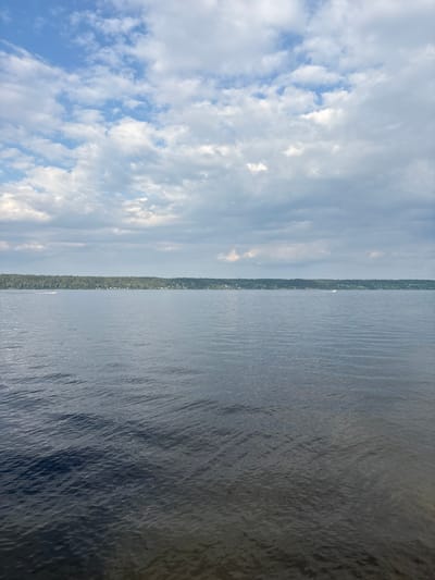 A wide shot shows a calm, gray lake under a partly cloudy sky. The distant shore is lined with a dense, green forest, behind which a scattering of small buildings can be seen. The water is dark and reflects the muted tones of the sky and the trees. A small white boat is visible on the left side of the frame, leaving a faint wake on the water. The overall impression is one of serene natural beauty on a slightly overcast day, likely in a rural or semi-rural setting. This scene is representative of the natural environment found near the village of Lyady, Russia, which is situated near a large body of water and surrounded by forests.