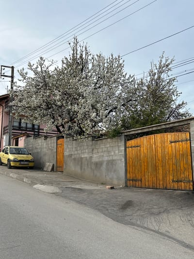 The image depicts a street scene in Bukovlak, Bulgaria. A yellow car is parked on the side of the street near a concrete block wall with wooden gate. A tree with white blossoms is in full bloom next to the wall. Overhead power lines are visible against a cloudy sky. A pink building is partially visible behind the tree.