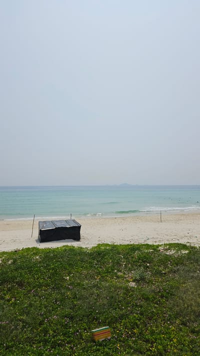 The image, when properly oriented, presents a serene coastal scene under a hazy or overcast sky. The upper portion shows a wide expanse of light blue-grey sky. Below this, the calm, light turquoise water of the ocean stretches horizontally across the mid-ground, exhibiting minimal wave activity along the shoreline. Faint, dark specks are scattered in the distant water, but are too indistinct to identify.

A strip of light sandy beach runs parallel to the ocean. Situated on the sand towards the right side of the frame is a dark, rectangular structure, possibly a makeshift shelter or storage unit, appearing to be covered with a black tarp or material and held up by slender poles.

Below the beach, a dense area of lush green coastal vegetation covers the lower part of the image. This vegetation appears to be a ground cover or low-lying shrubs, interspersed with small purple flowers. Within this green area, towards the bottom right, lies a small, rectangular object with distinct vertical stripes in red, yellow, and green, possibly a mat or a small box.

The scene depicts a peaceful daytime beach landscape, likely in Bac Cam Ranh, Vietnam, as indicated by the context. There are no clearly visible people or overt activities taking place. No text is visible in the image.