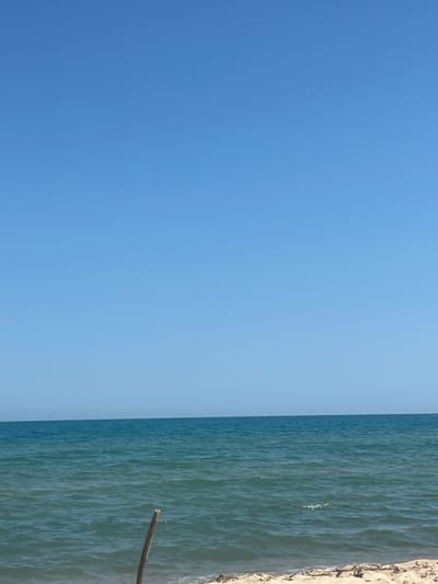 This media file captures a serene coastal scene under a clear, bright blue sky. The image is vertically oriented, dividing the frame into two distinct halves. The left side is dominated by an expansive, cloudless sky, suggesting a sunny day with excellent visibility. The right side of the image features the ocean, with its surface reflecting the sky and showing gentle waves. The water transitions from a deep teal color in the mid-ground to a lighter, more aquamarine hue closer to the shore.
Along the far right edge of the image is a strip of sandy beach. The sand appears light in color, with some scattered debris, possibly including small pieces of wood or seaweed. A prominent object in the scene is a dark, slender piece of driftwood or a stick, angled diagonally across the water, with one end reaching out from the beach area into the sea. There are no people visible in the frame.
The overall atmosphere is tranquil and peaceful, evoking a sense of calm and natural beauty. The lighting indicates it is daytime, likely mid-morning to afternoon, given the brightness of the sky and the clear illumination of the water. The location is identified as Bliznatsi, Bulgaria, which is a coastal area, aligning with the visual elements of the sea and beach. No text is visible within the image.