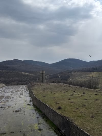 This image captures a wide-angle view of an apparent disused concrete spillway or channel and a natural landscape near Баня, Bulgaria, under an overcast sky. In the foreground, a broad concrete surface, composed of rectangular slabs, extends from the lower left towards the midground. This surface is significantly weathered, stained with green algae, and appears to hold shallow pools of water. To the right of the concrete channel, a vertical concrete retaining wall separates it from a sloping, grassy embankment. This embankment is covered with sparse, dry brown and green grass, dotted with small, dark bushes.
In the midground, a tall, cylindrical concrete tower structure, featuring vertical support beams or pipes on its exterior, stands prominently on the grassy slope. Beyond this tower, the landscape descends into a valley, revealing dense, dark-toned deciduous trees, likely bare due to the season. Rolling hills, similarly covered in trees, define the horizon in the background. The sky is uniformly overcast with varying shades of grey clouds. A single dark bird, with its wings outstretched, is visible in flight in the upper right portion of the sky. No human figures are present.