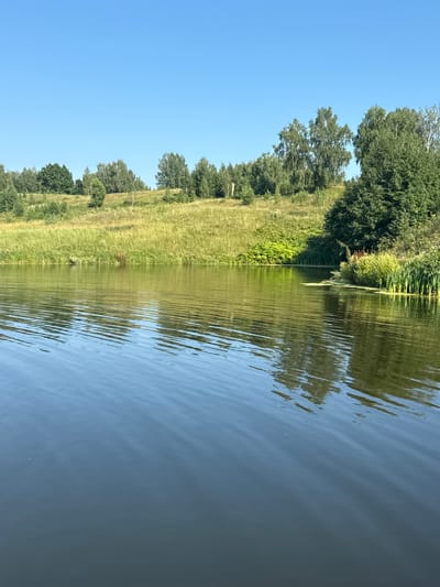 The image depicts a calm body of water reflecting a clear blue sky and a grassy hillside dotted with trees. The water's surface is disturbed by gentle ripples, creating a pattern of light and shadow. The hillside is covered in lush green grass and various types of trees, including birch and coniferous varieties. Some reeds and smaller green shrubs are visible along the edge of the water. The overall scene suggests a tranquil natural environment. The location is identified as Bolshie Shady, Russia.