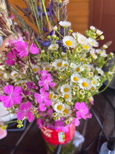 A close-up, low-angle shot shows a bouquet of wildflowers in a red vase. The flowers are a mix of white daisies with yellow centers and bright pink dianthus. Some dried grasses and purple flowers are also visible in the bouquet. The vase appears to be made of woven material. The background is blurred but shows a wooden surface and hints of green foliage. The lighting suggests an outdoor setting during daylight. The scene is captured in Vyshhorod, Ukraine.
