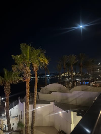 A night view in Saint Paul's Bay, Malta, shows palm trees lining the waterfront under a bright moon. The lights of buildings reflect on the water. The image also captures the architecture of a white building with outdoor lighting, possibly a hotel or restaurant. The angle of the photo suggests it was taken from an elevated position overlooking the scene.