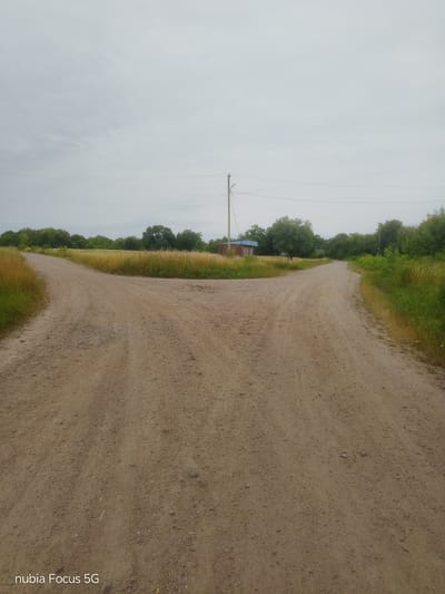 An overcast day presents a fork in a dirt road. The road is a light brown color with scattered small stones and pebbles. Tall, dry grass lines the edges of the road on both sides. In the distance, a line of green trees forms a backdrop across the horizon. To the left of the road, a low-lying field of dry, golden grass is visible. To the right, a darker green patch of grass and foliage is apparent. In the center background, a small, brick building with a blue roof sits near a wooden utility pole with wires extending horizontally. The sky is a uniform, light gray, suggesting cloudy weather. The lower left corner of the image displays the watermark "nubia Focus 5G".