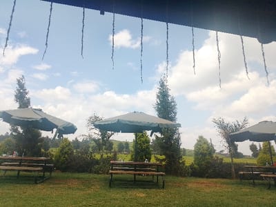 The image displays an outdoor recreational area situated within Limuru East ward, Kenya. The foreground consists of a green lawn furnished with three wooden picnic tables, each featuring integrated benches and positioned beneath a large, dark green outdoor umbrella. Numerous green trees, including tall conifers and dense shrubs, are scattered throughout the scene, bordering a vast tea plantation visible across rolling hills in the background. A dark, linear overhead structure, from which several thin, dark, dangling elements descend, is present at the top of the frame. The sky is bright blue with scattered white cumulus clouds. No individuals are observed in the depicted scene. The environment appears well-lit, characteristic of daytime.