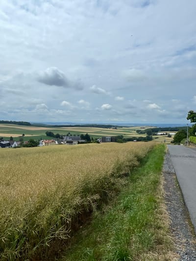 The image depicts a rural landscape in Seigertshausen, Germany, under a cloudy sky. In the foreground, a road borders a field of tall, dry grass or crop, likely rapeseed, which has turned a golden-yellow color. The road surface is asphalt, with a gravel shoulder. To the left of the road, the field extends into the middle ground, where a small cluster of houses is visible. Beyond the houses, the landscape unfolds into rolling hills with patchwork fields of varying shades of green and yellow, suggesting agricultural activity. Trees are scattered across the hillsides, and a distant horizon line is formed by a soft, hazy range of hills under the overcast sky. There are no people or animals visible in the image. A single small dark speck, possibly a bird or an aircraft, is visible in the upper portion of the sky.