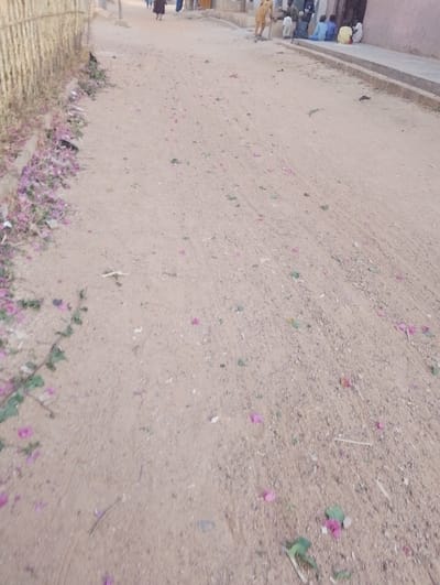A sandy road stretches into the distance, lightly littered with fallen pink bougainvillea flowers and green leaves. A woven fence borders the left, and a curb runs along the right. In the background, a small group of people sits or stands outside a building. More people are visible further up the road. The overall impression is one of a rural or village scene.