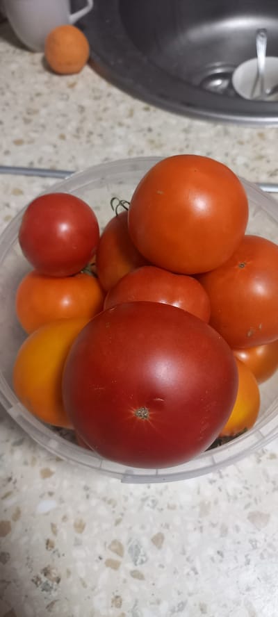 A close-up, overhead shot shows a clear plastic container filled with red and orange tomatoes. The container is positioned on a speckled countertop, likely in a kitchen. A stainless steel sink with a white cup and spoon is visible in the upper right corner of the image, blurred. To the left of the sink, a small orange object, possibly a tangerine or a small ball, rests on the countertop. The lighting appears to be artificial, casting a slight glare on the tomatoes. There are no people or animals present in the image. The scene suggests a domestic setting, with the tomatoes likely being prepared for consumption or storage. The location is specified as Идрисово, Russia.