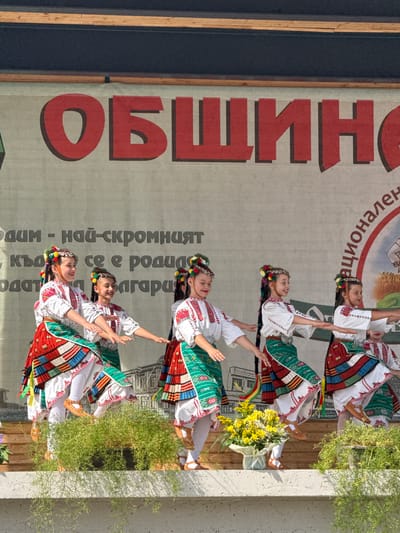 This is a vertical, medium shot photograph taken outdoors in Pordim, Bulgaria, featuring a group of young girls performing a traditional dance on a stage. The girls, appearing to be of primary school age, are dressed in colorful, embroidered folk costumes consisting of white blouses, red and white striped skirts with green trim, and white leggings. They all have their hair styled with braids and adorned with colorful tassels and flowers. The girls are in mid-motion, with their arms extended to the sides and their bodies slightly bent, suggesting a coordinated dance routine.
Behind the dancers, a large banner is visible with red, stylized Cyrillic lettering that reads "ОБЩИНА" (Obshtina), which translates to "Municipality". To the right of this text, a circular logo with a red outline contains an illustration of a farmer harvesting wheat. Further text in Cyrillic is present on the banner, partially obscured by the dancers, including phrases like "- НАЙ-СКРОМНИЯТ" (the humblest) and "КЪЩА СЕ Е РОДИЛА" (a house was born).
The stage appears to be outdoors, with wooden flooring visible beneath the dancers and a concrete ledge in the foreground. A large planter filled with dense, green foliage is positioned on the ledge in front of the dancers. To the left of the foliage, a decorative bouquet of yellow flowers in a light blue vase is also on the ledge. The background banner suggests a cultural event or festival, likely organized by the municipality of Pordim. The lighting indicates it is daytime, with sunlight casting shadows.