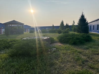 The image depicts an outdoor scene at sunrise or sunset in Bozshakol, Kazakhstan. The sun, low in the sky, casts a strong glare and sunbeams across the frame. In the foreground, a small, circular fountain with a stone base is active, with water spraying upwards. Lush green grass and bushes surround the fountain, with some scattered rocks.
In the middle ground, a wooden gazebo with a dark roof and lattice sides is situated on the left. Behind it, a row of blue industrial-style buildings stretches across the background, with trees and more bushes interspersed between them and in front of the buildings. Several coniferous trees are visible, with one particularly tall, dark green specimen standing out to the right of the frame. The sky is clear and light, with a hazy quality due to the low sun. The overall impression is a somewhat manicured outdoor area adjacent to industrial structures. There are no people visible in the image.