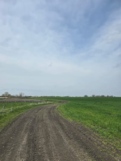 The image shows a rural landscape, likely in the vicinity of Stara Reka, Bulgaria. A dirt road stretches into the distance, flanked by green fields. The sky is overcast with a mix of blue and grey clouds. There are no people visible in the image. The environment appears to be agricultural. The road shows signs of vehicle traffic. A line of trees or bushes follows the field edge.