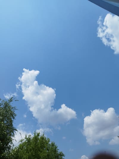 The image shows a bright blue sky with scattered white clouds. In the foreground, the tops of green leafy trees are visible along the bottom edge of the frame, partially obscuring the sky. To the right, a dark, blurred circular object, possibly a person's hand or camera lens, is partially visible in the bottom right corner. The scene appears to be an outdoor environment, likely a park or residential area in Clinceni, Romania, given the context. The overall impression is a clear, sunny day.
